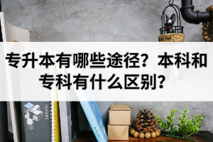 专升本有哪些途径？本科和专科有什么区别？